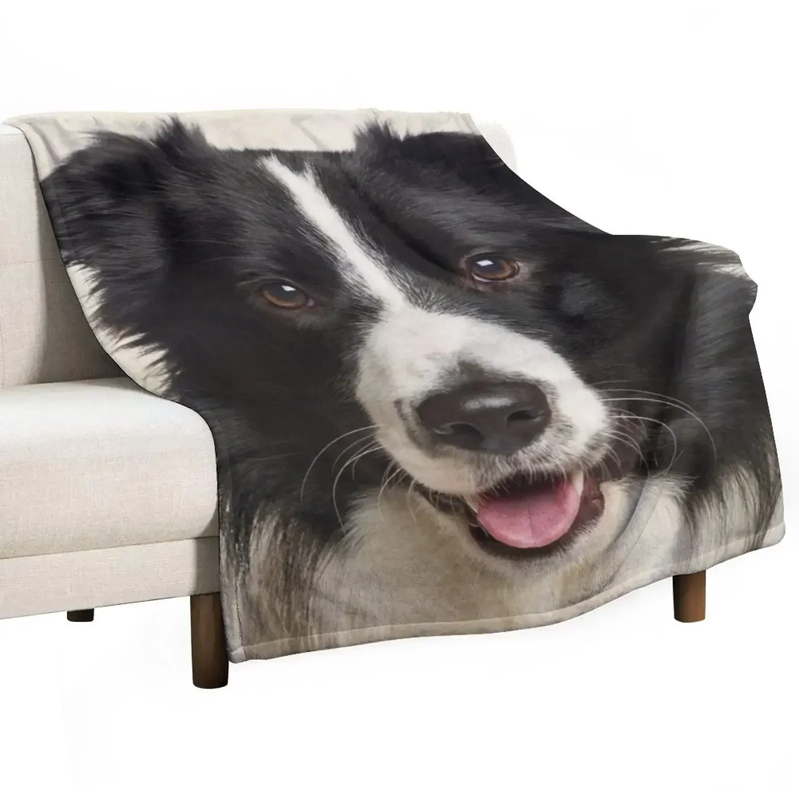 Border Collie Art, Domestic Dog, Animal Portrait Throw Blanket Sofa Luxury Brand Sleeping Bag Warm Vintage for babies Blankets