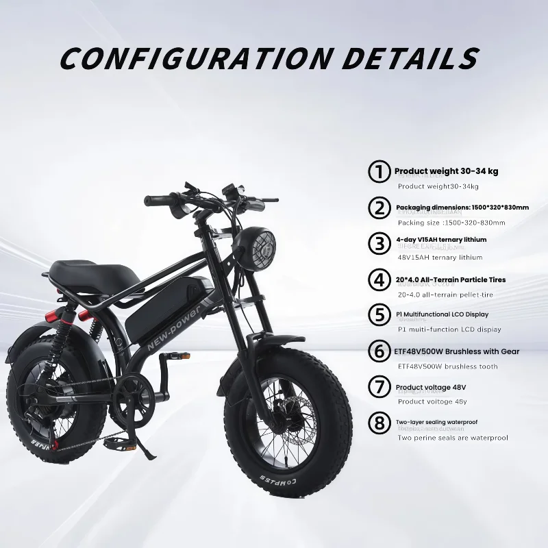 48V Waterproof Lithium Battery Electric Bike, Hot Selling EU US 2 Seater Fat Tire, City Cross Country Wholehouse Mountain Bike