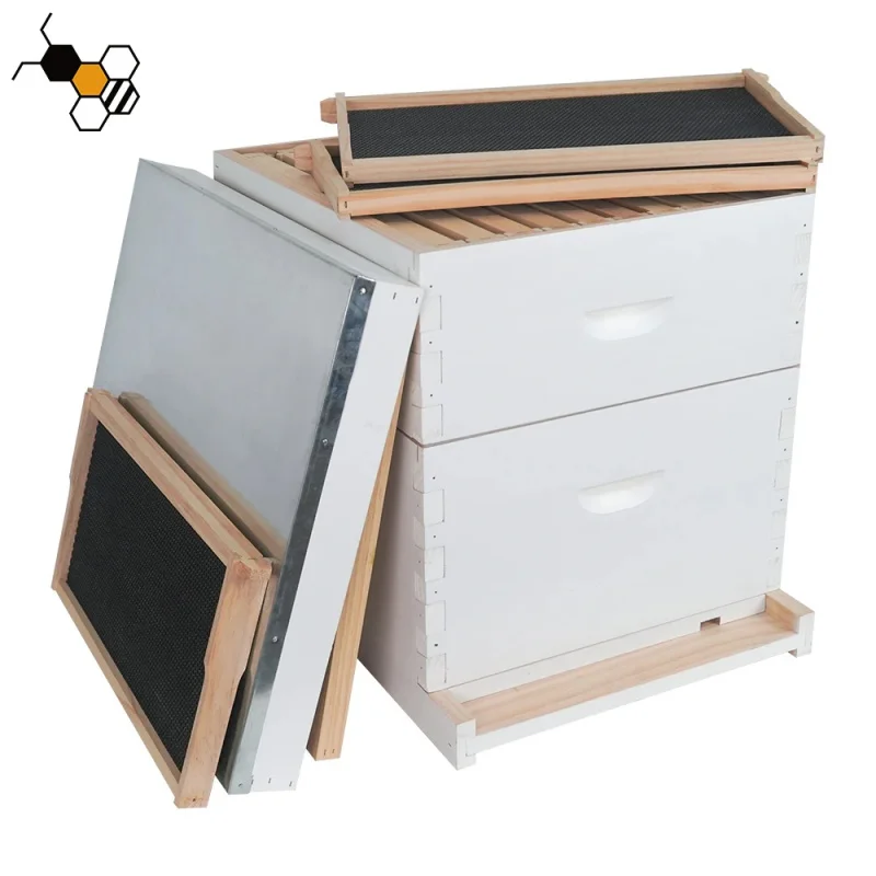 New Langstroth Beehive Complete Set Painted White 2 Layers Unassembled Bee Hive Box With Frames And Foundation Sheets