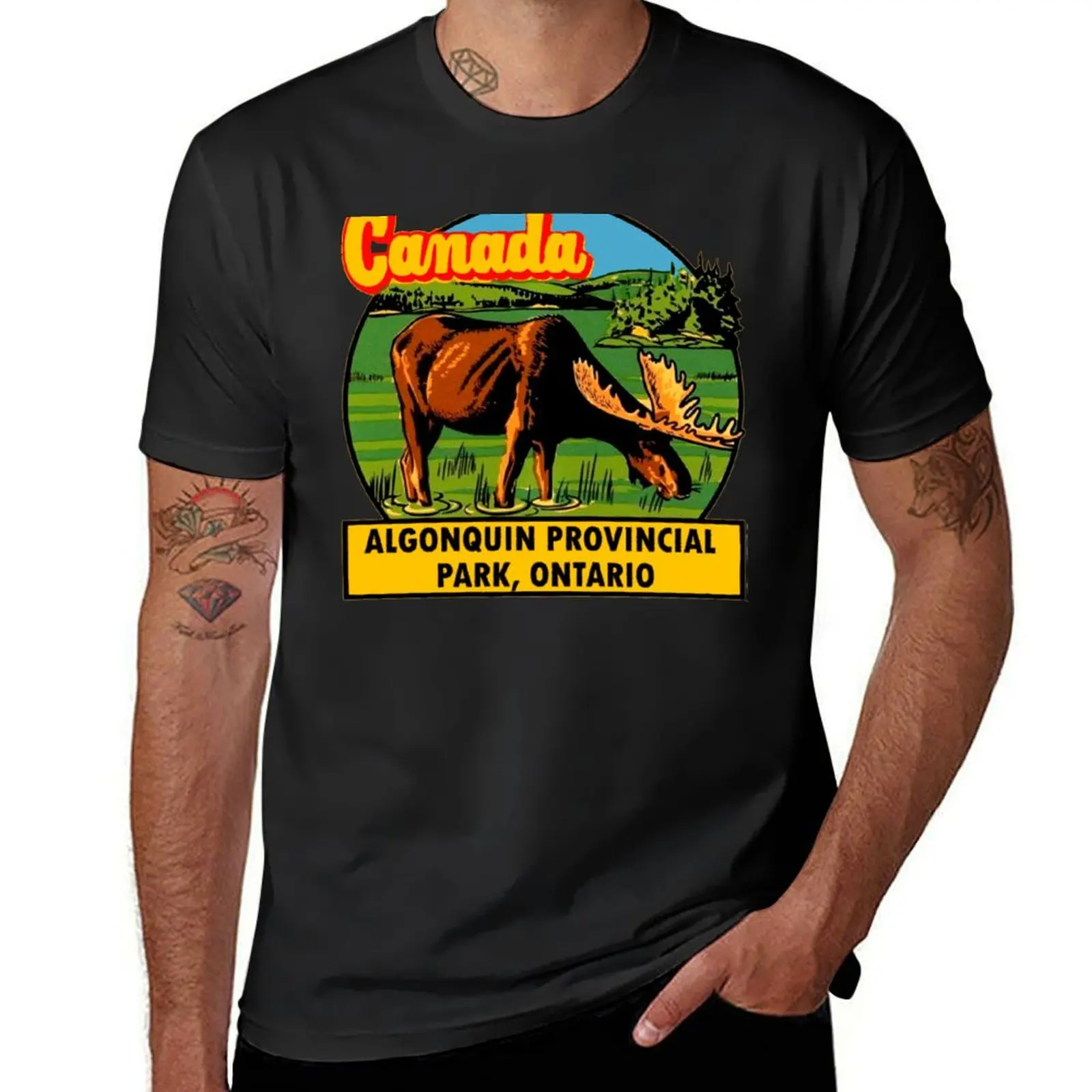 Algonquin Provincial Park Ontario Vintage Travel Decal T-Shirt cute clothes boys whites t shirt for men