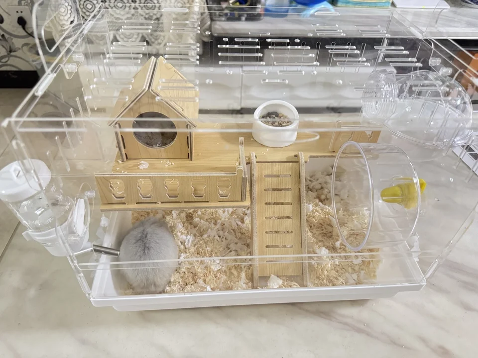 Thumbnail 4 - #17 Trending Hamster Habitats Right Now