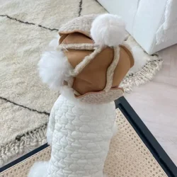 Winter Plush Warm and Windproof Lamb Fur Pet Dog Hat Cat Dog Flying Hat Teddy Bear Hat Dog Accessories for Small Dogs