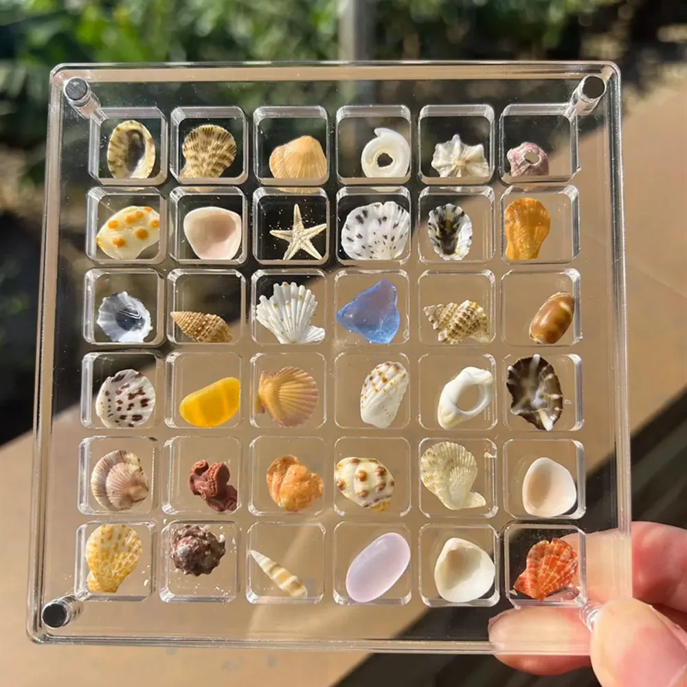 36/64 Grids Seashell Display Box Acrylic Magnetic Seashell Display Case Organizer Box Stackable Small Craft Compartment Boxd Box