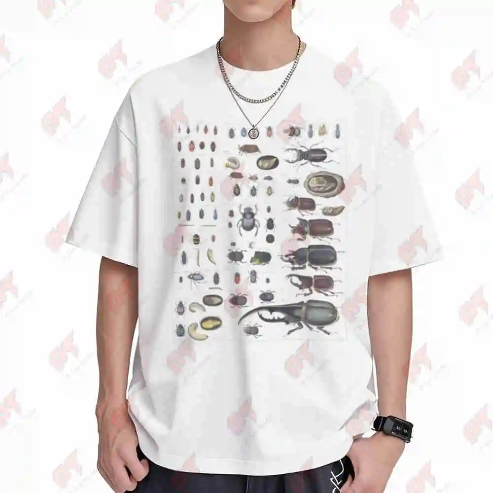 Insect Collection Species Bugs Vintage Chart Entomology Short Sleeve Tee 100% Cotton T-Shirt