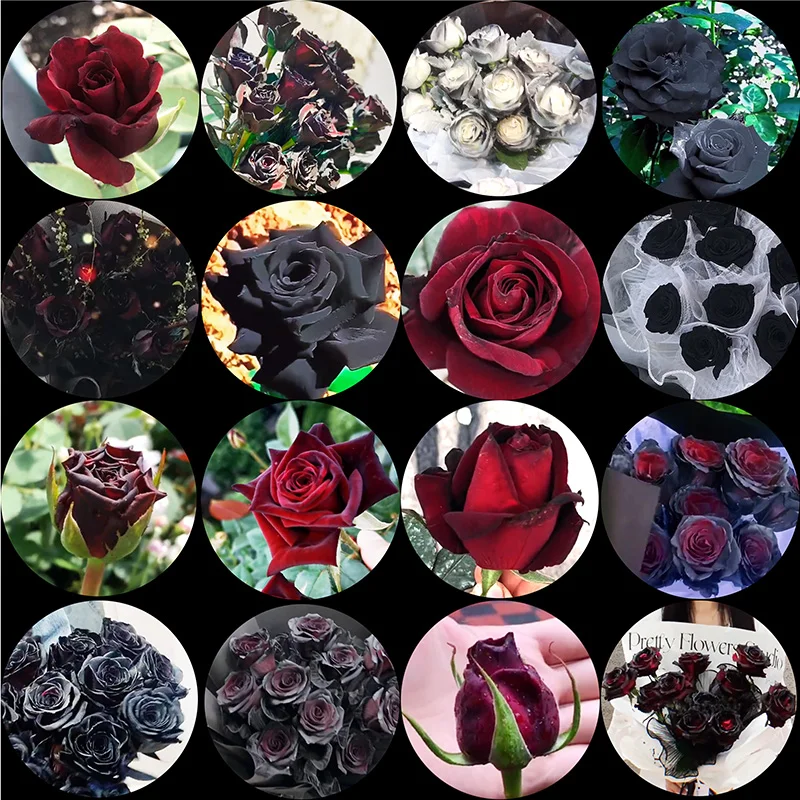 fltmrh 6mm 8mm 10mm and 12mm 20mmm 25mm black purple red rose plant round glass cabochon flat back photo relief DIY accessories