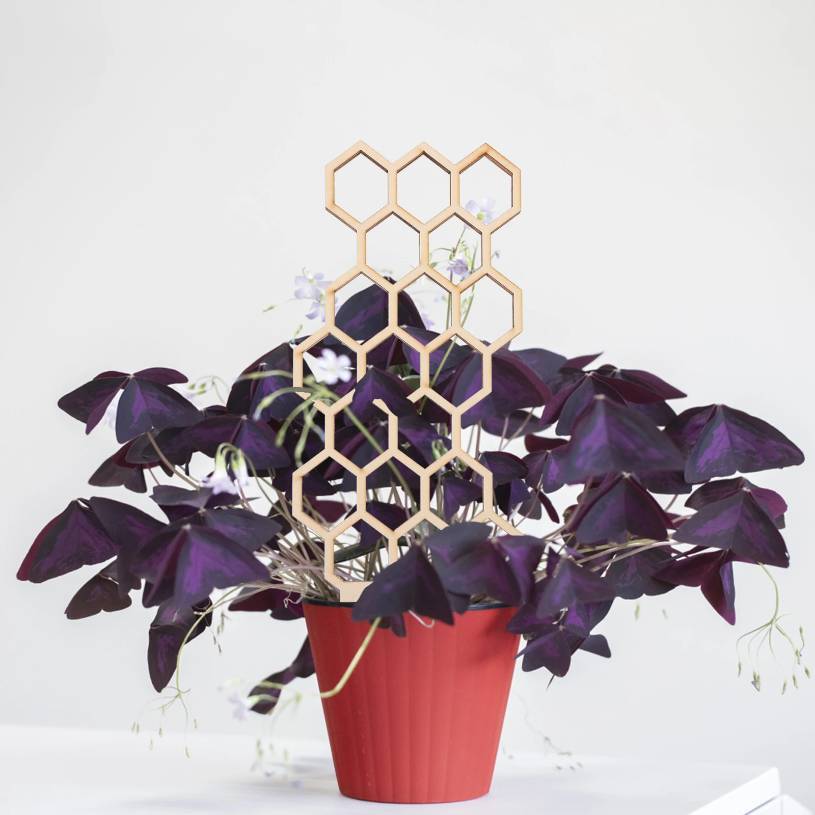 3 шт. деревянная решетка для растений, садовая опора для стебля цветов, колья для горшечных растений, держатель для вьющихся растений, уличные опоры для скалолазания, двор 3 шт. деревянная решетка для растений, садовая опора для стебля цветов, колья для горшечных растений, держатель для вьющихся растений, уличные опоры для скалолазания, двор