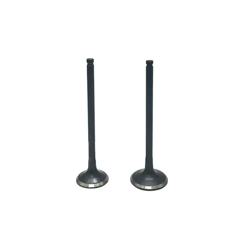 

car Intake Valve and Exhaust Valves Set Fit For GREAT WALL HOVER H3 H5 WINGLE 3 WINGLE 5 4G64 4G63 4G69 engine 16Pcs