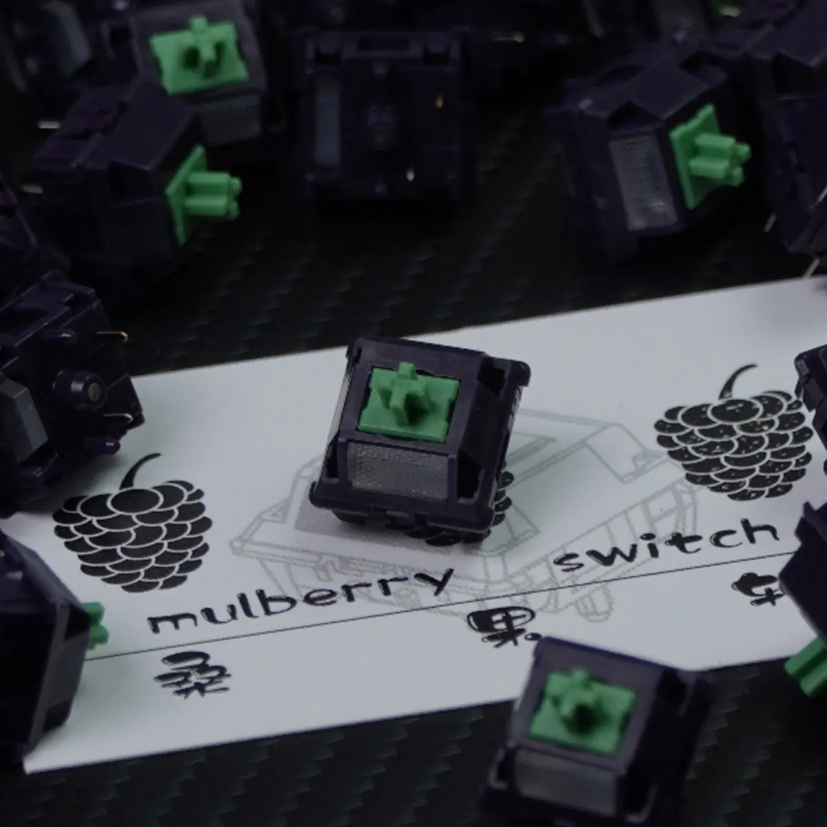 

Mulberry Switch Tactile 47g Pre-Lubed 5 Pins Hot Swap LY Stem Switches For Mx Mechanical Gaming Keyboard 기계식 키보드 축