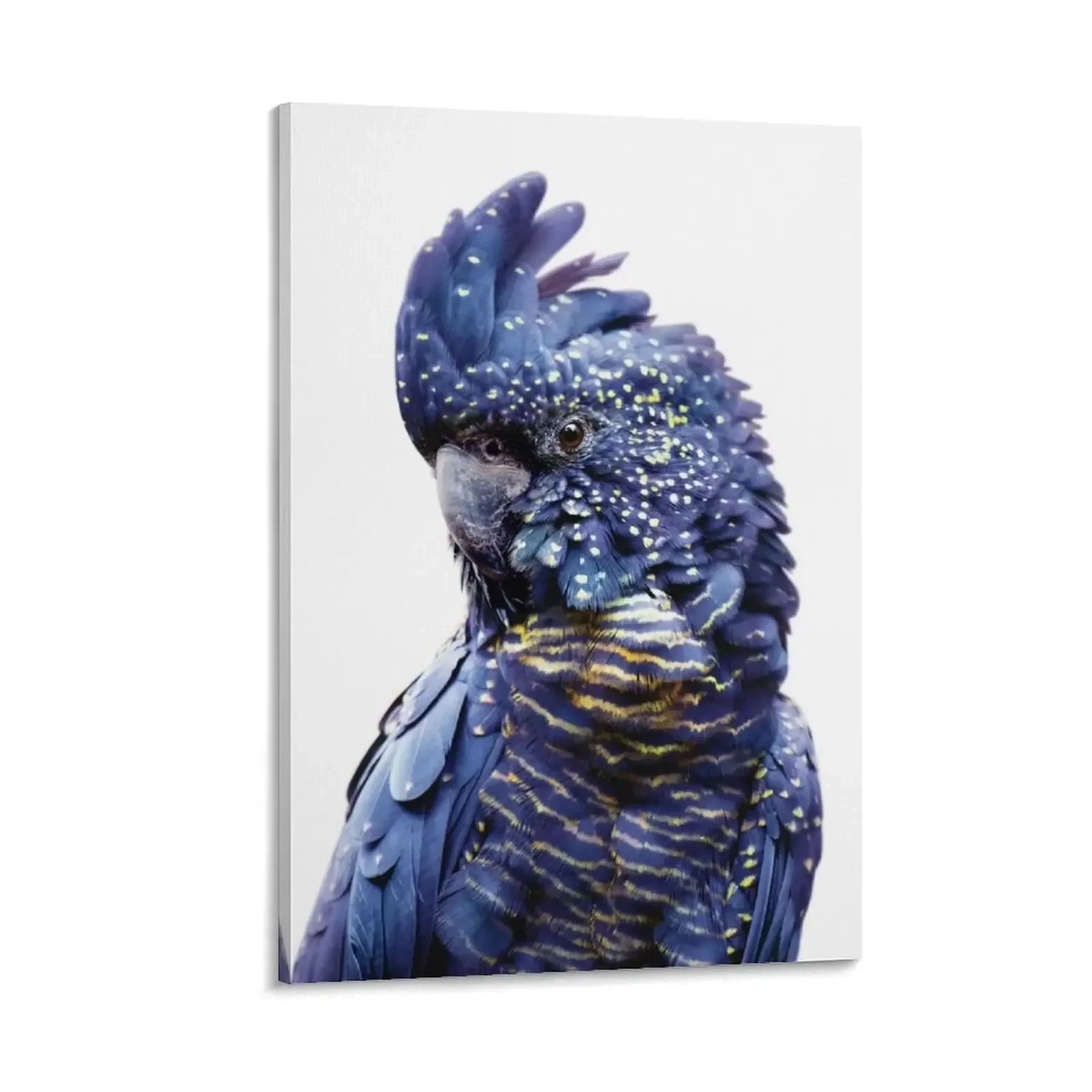 

Black Cockatoo Canvas Painting decorative pictures for the room home decorations aesthetic room decoration paintings wall decor