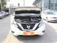 Amortiguador de capó para Nissan Murano Z52 P42M SUV 2015-2023 2024, capó delantero, puntales de Gas, soporte de elevación, amortiguador, varillas de pistón, 2 uds.