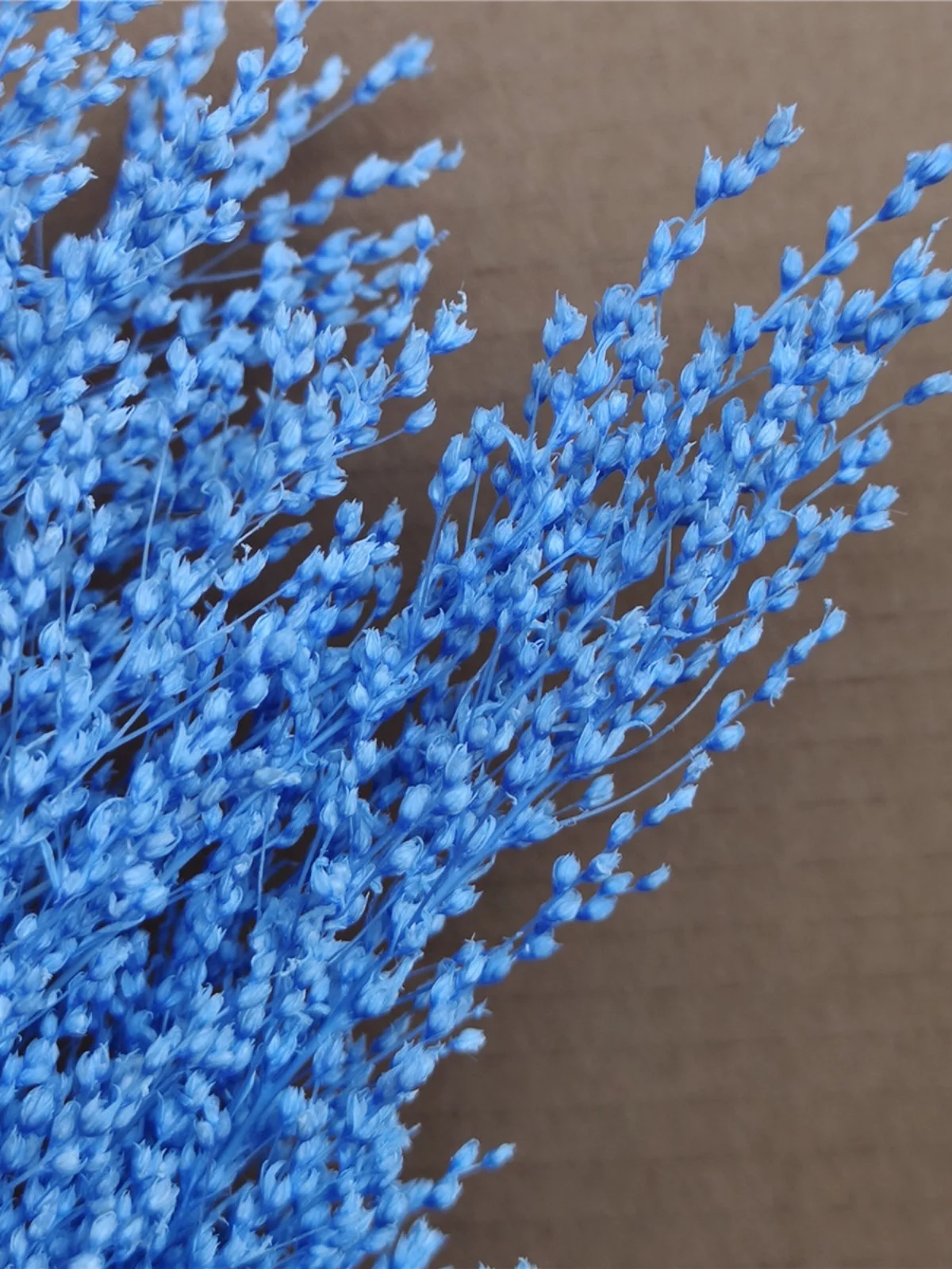 永遠の花のブーケ-ガラスカバー付き-diy-誕生日プレゼント素材-本物の花のアレンジメント-ホームデコレーション-プレミアムファン-by-baiuihua