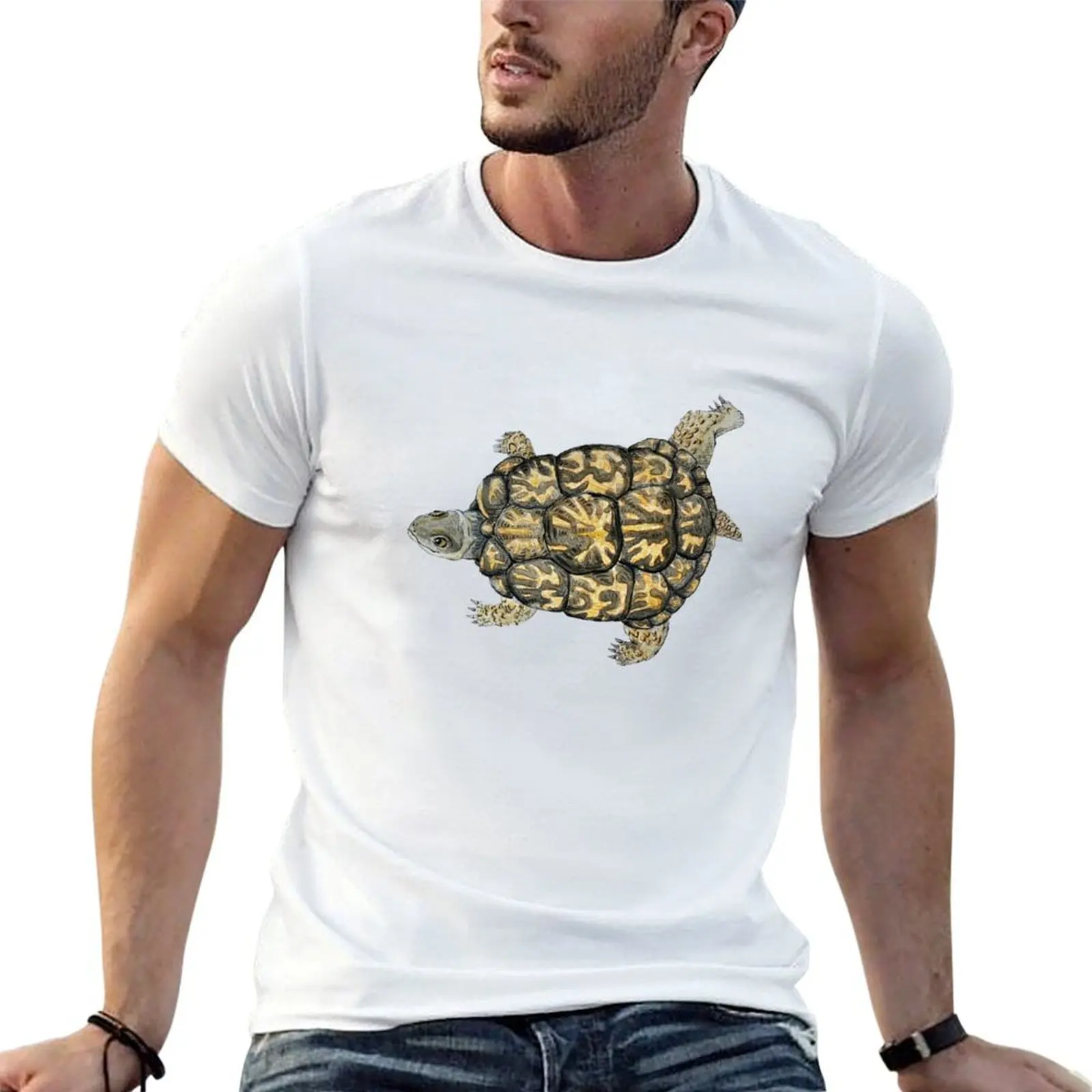 

Box Turtle Boogie T-Shirt essential t shirt men t shirt cotton 100% t shirts for man graphic vintage T-shirt