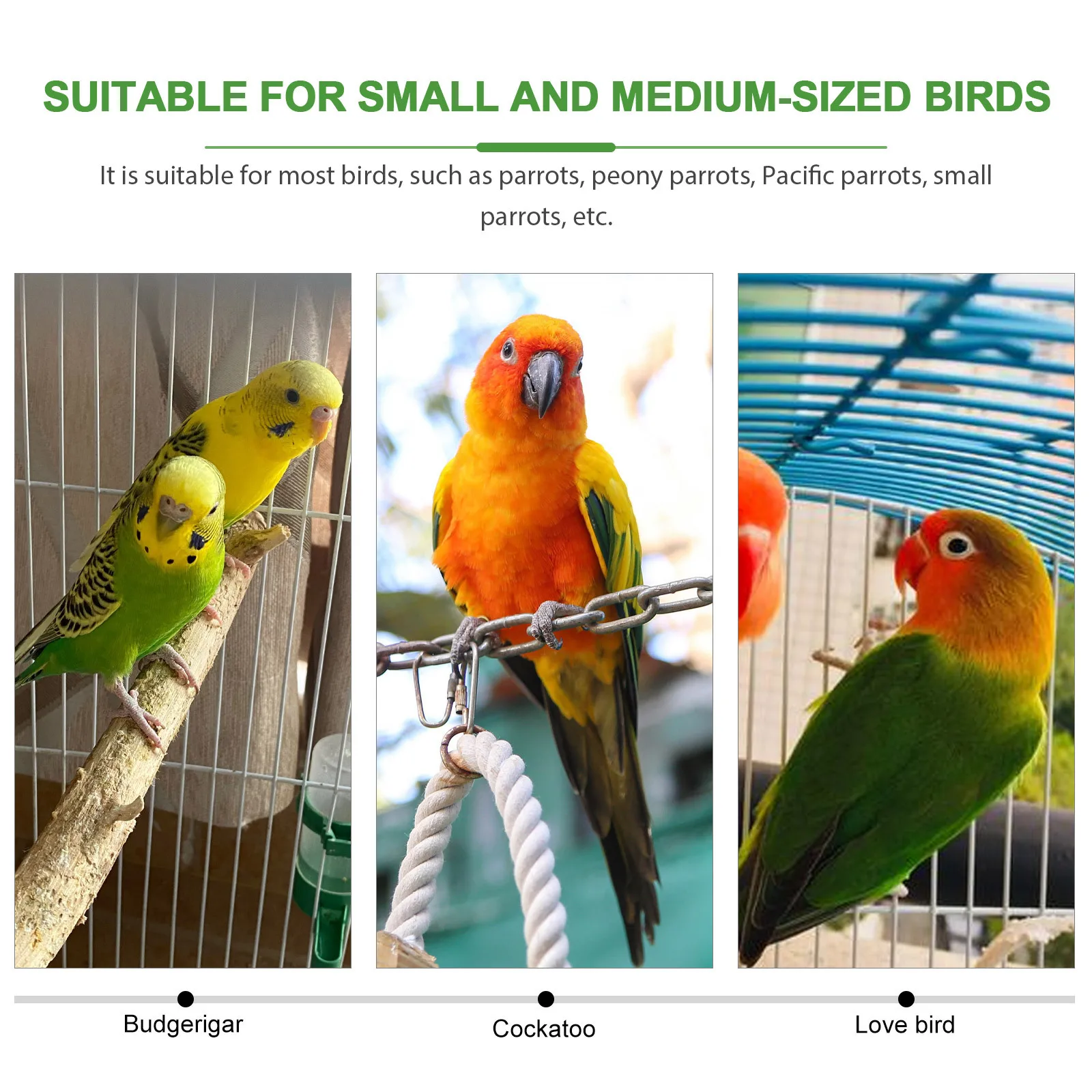 

2pcs Huajiaomu Perch Stand Premium Wooden Bird Perch For Parrots Durable Cage Accessories Stress Relief Wear-Resistant Parrot