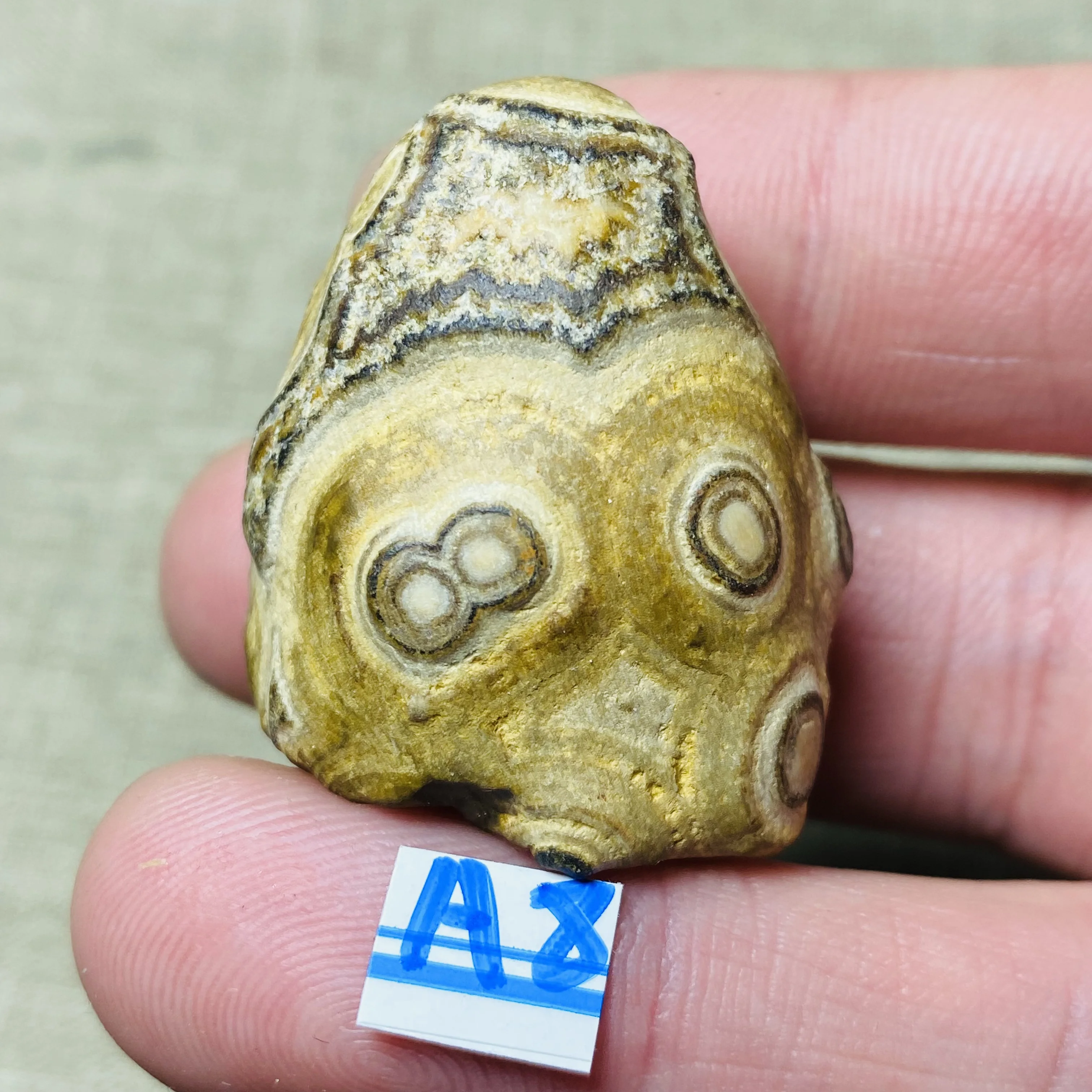 Natural Gobi Agate Raw Stone Yellow Eye Pattern Rough Mineral Specimen Healing Crystal Home Decoration Reiki Collectible