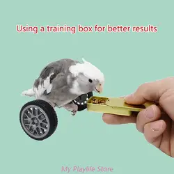 Parrot Training Balancing Bike Toy Interactive Row Roller Bird Cage Toy Cockatiels Training Birds Cage Sports Supplies
