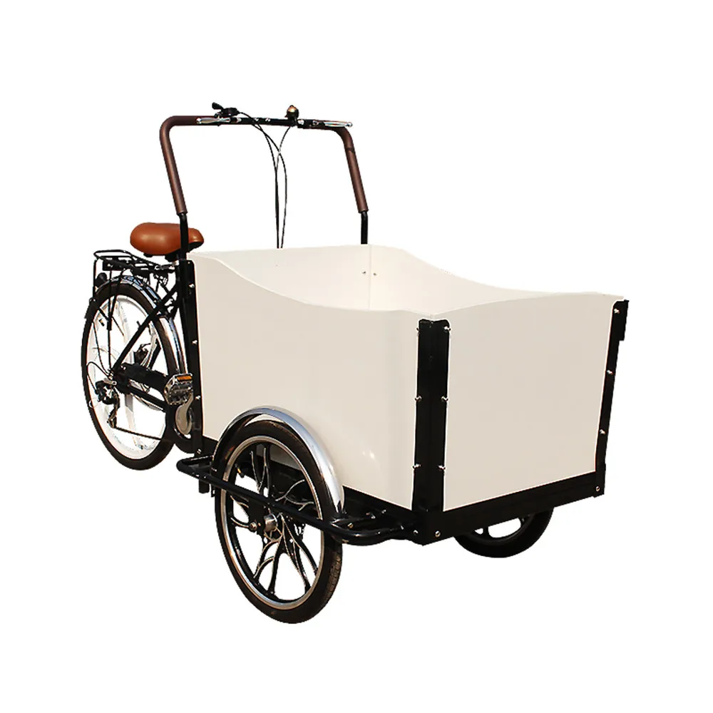 250 w brushless wheel motor cargo bike street foos cart ice cream machine bicycle for sale