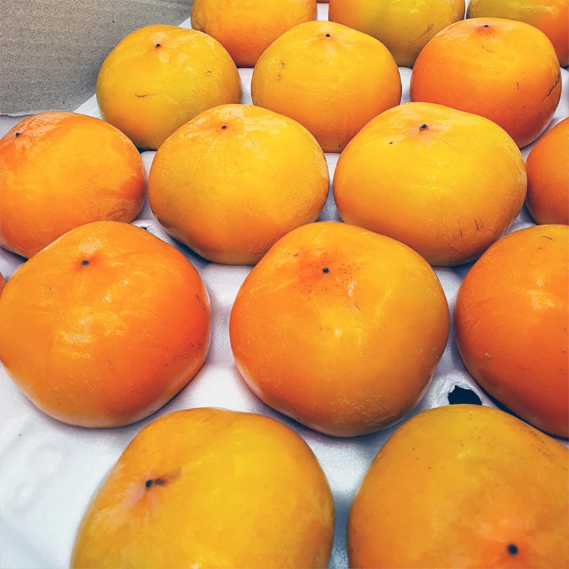 بيرسيمونز تشينغداو بانكسي المتساقطة من الشجرة، 2.5 كجم، حجم صغير (28-32 فواكه)