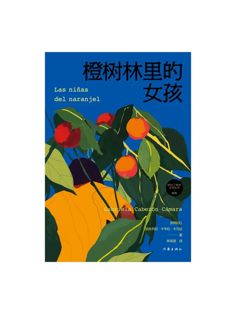 Book-Winshare The Girl in the Orange Grove New Latin American Literature Series·contemporary Argentina Gabriela Cavessón Camara