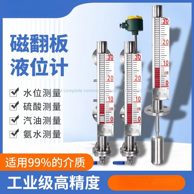 

Side-mounted stainless steel lined PTFE anti-corrosion and explosion-proof belt remote transmission type magnetic
