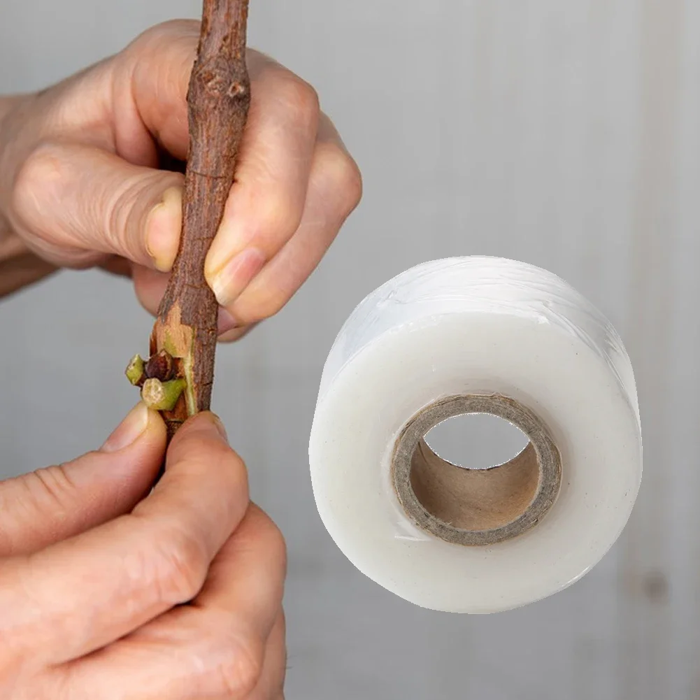 

Grafting Tape Stretchable Clear Floristry Film Grafting Tape Film Plant Repair Tapes for Fruit Floral Tree and Plants