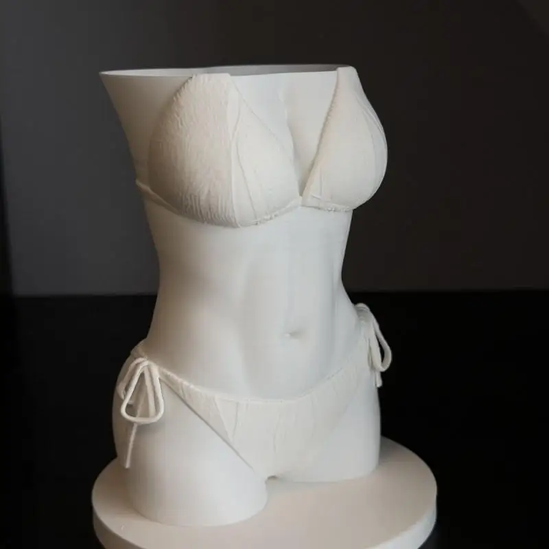 NEW Bikini Body Pen Holder 3D Printed Funny Texture Female Torso Pencil Pot Cool Office Desk Brush Storage Decor Gift For Men - view 2