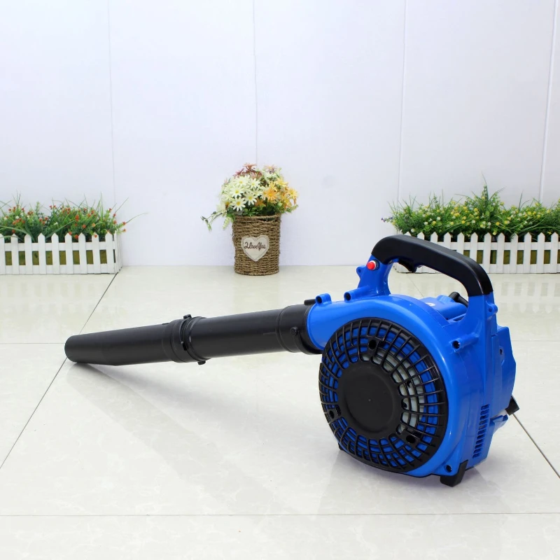 

Portable hair dryer powerful power snow blowing fallen leaves dust removal site household dust collector
