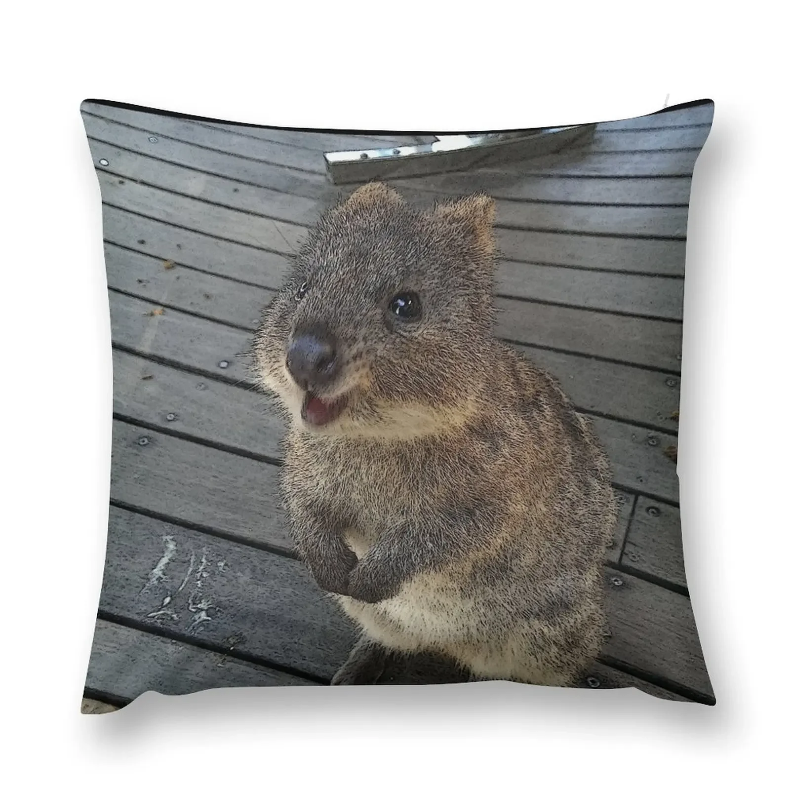 Be Quokka happy Throw Pillow Embroidered Cushion Cover luxury home accessories pillow