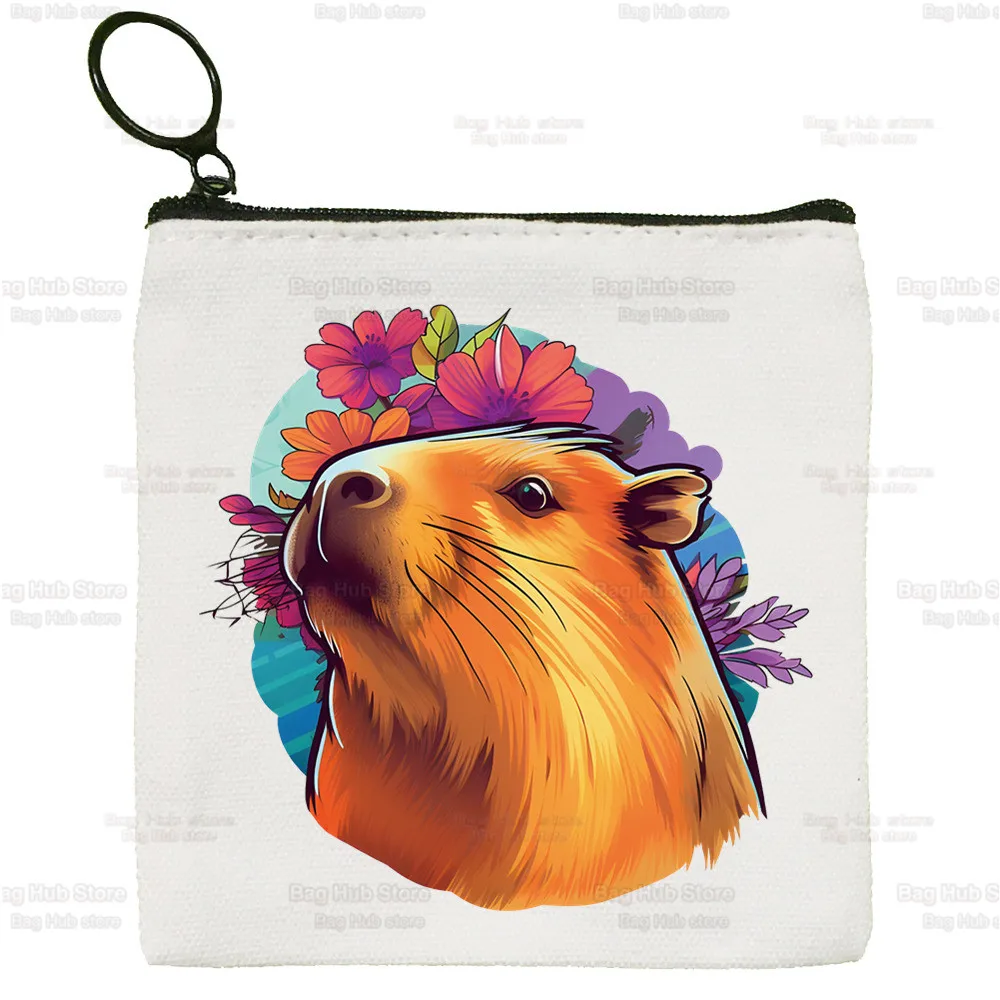 Capybara Capibara quadratische Tasche Münz geldbörse Aufbewahrung Cartoon keine Sorge cacy kleine Tasche Karten tasche Schlüssel tasche Münze Clutch Tasche Reiß verschluss