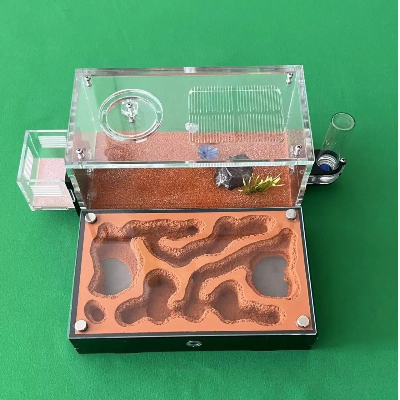 M-style Workshop Ecological Scalable Breeding Ecological Box Ant Flat Home Pet Ant Nest