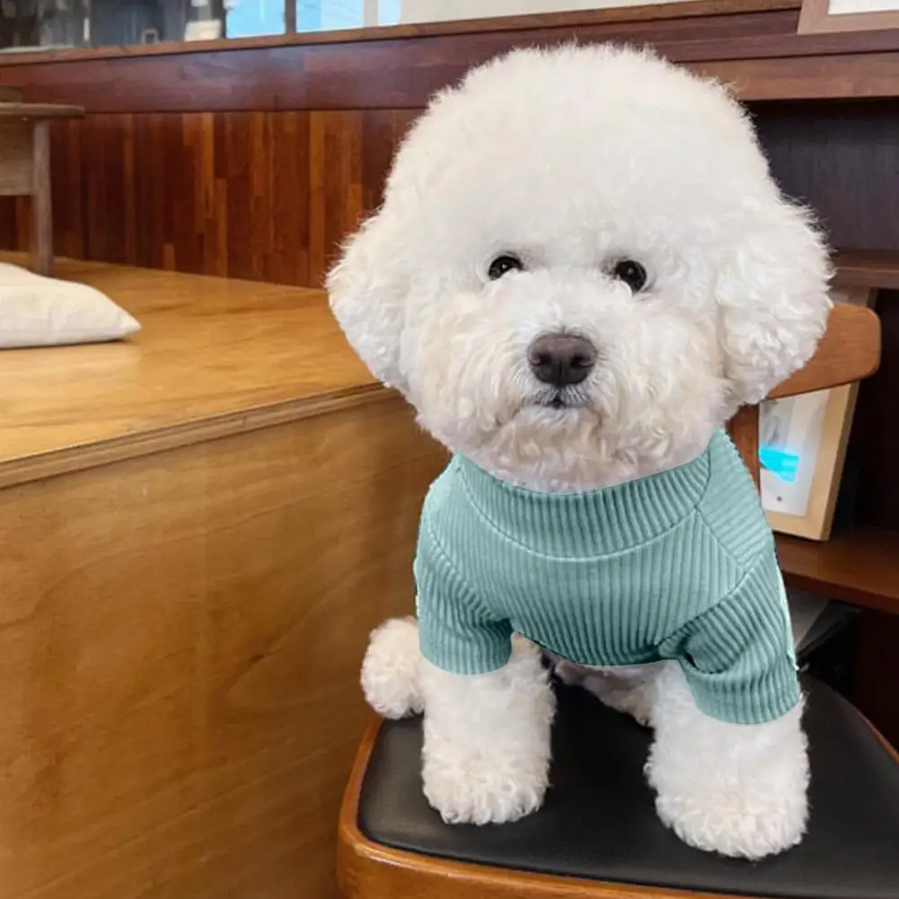 Spring Pet Top Small Dog Spring Fall Pet Sweatshirt Soft Breathable Short Sleeve Sweater with Elastic Two Legs Solid for Small