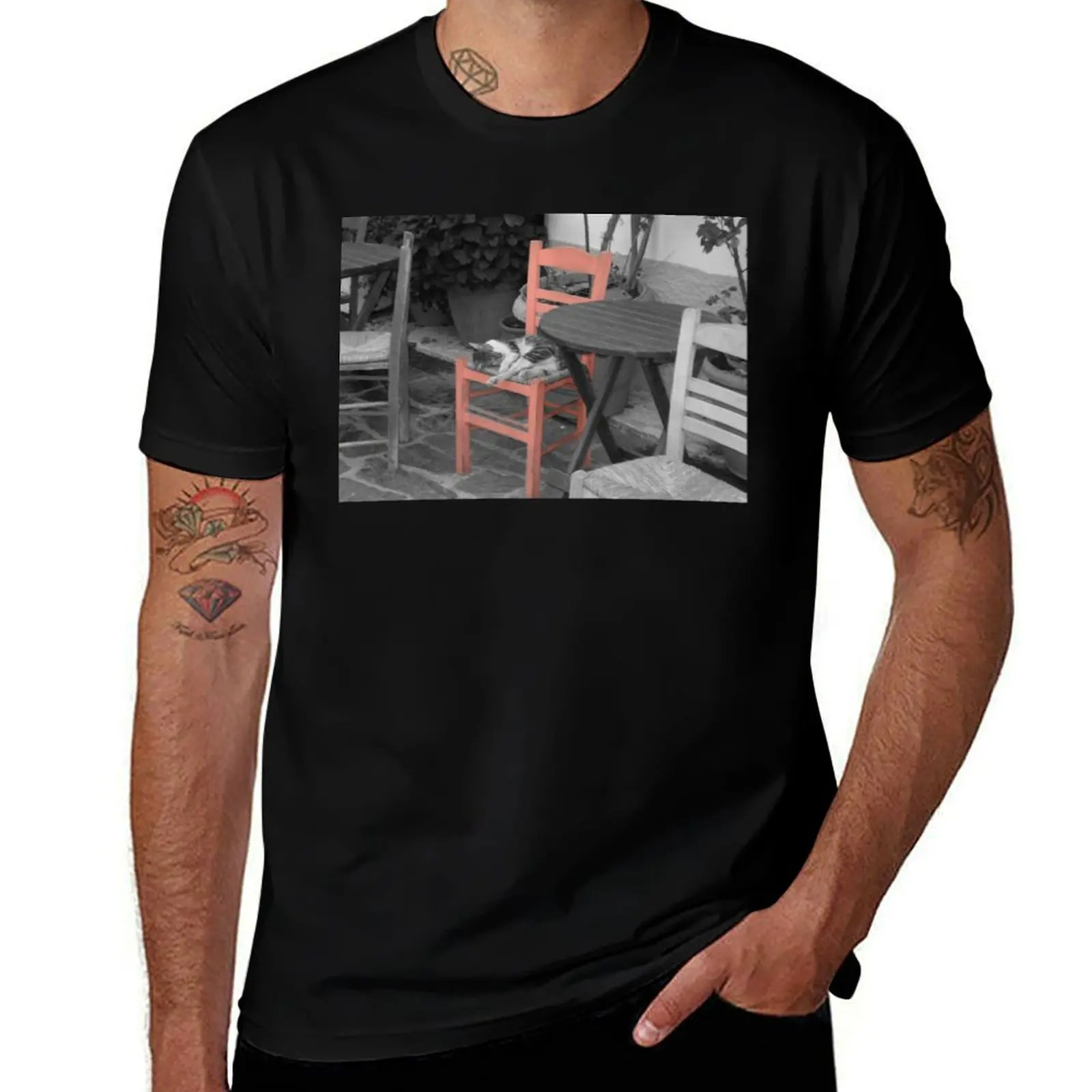 Cat Napping on Chair Ikaria Island Greece T-Shirt Basic Tee Shirt for Everyday Outfit T-Shirt