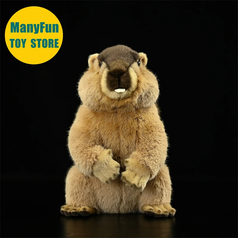 Realistic Groundhog Plush Toy High Fidelity Mountain Beaver Plushie Lifelike Marmot Stuffed Animal Simulation Doll Toy Gift