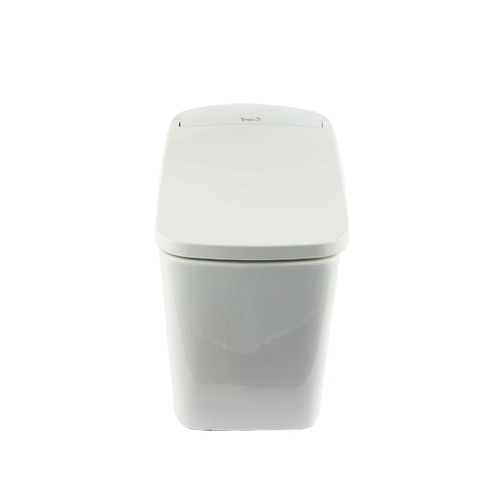 Korean TREVI Smart Toilet ALB-R14895S In-home Installation Drying Function Feminine Hygiene Care Stainless Steel Strainer