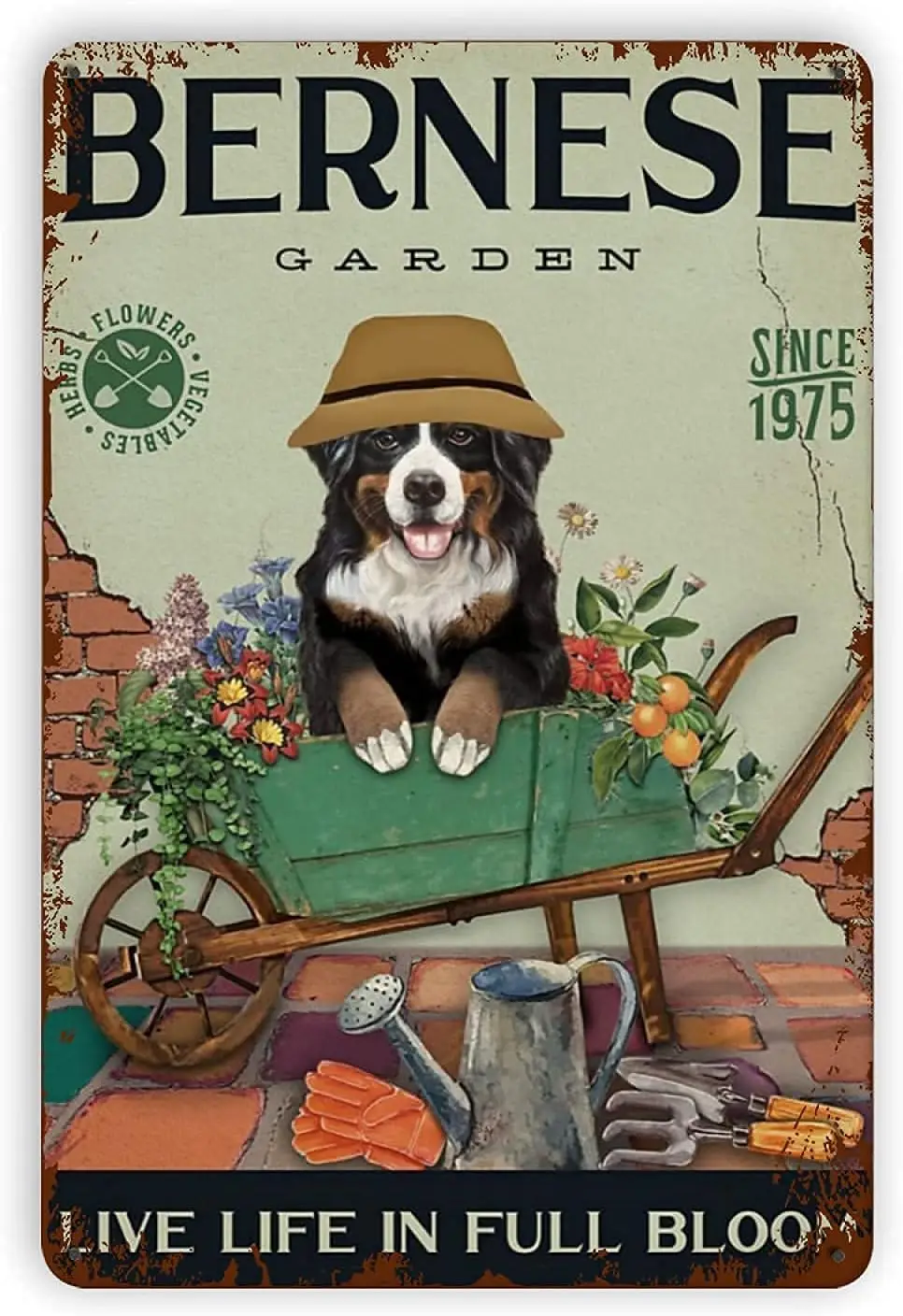 Bernese Mountain Dog Garden Store Or Posters Rustic Tin Signs Wall Decor Plaque Bar Poster Tin Sign Plaque Suitable for Man Cave