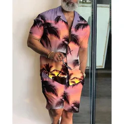 Conjunto de camisas de estilo playero para hombre, traje informal Hawaiano de gran tamaÃąo con estampado 3d, Camisa de manga corta y pantalones cortos, ropa de calle de 2 piezas