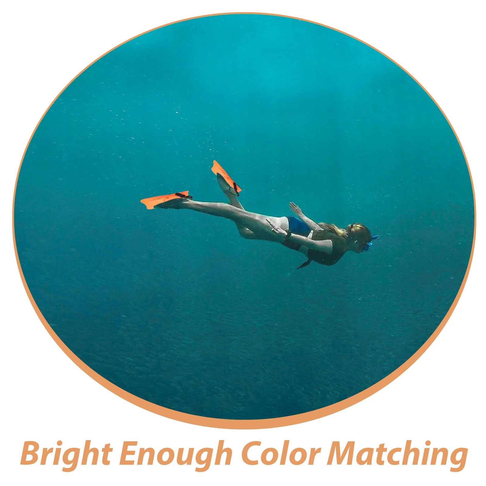 

Snorkeling Fins for Men Women Swim Training Flippers Tpr PP Material Internal Fixation Pads Safe Durable Swimming Fins for Women