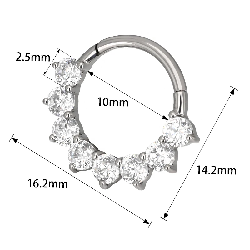ASTM F136 Titanium EAR 10mm Nose Ring PIERC CZ Surround Segment Ring Hoop Face Hinged Clicker Labret Ear Piercing Body Jewelry