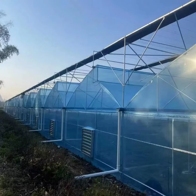 

Customized greenhouseTransparent Greenhouse Film Greenhouse with UV Protection for Smart Agriculture