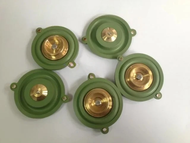 

8616 Solenoid valve diaphragm DN25FPM fluororubber air compressor VIOTN FKM