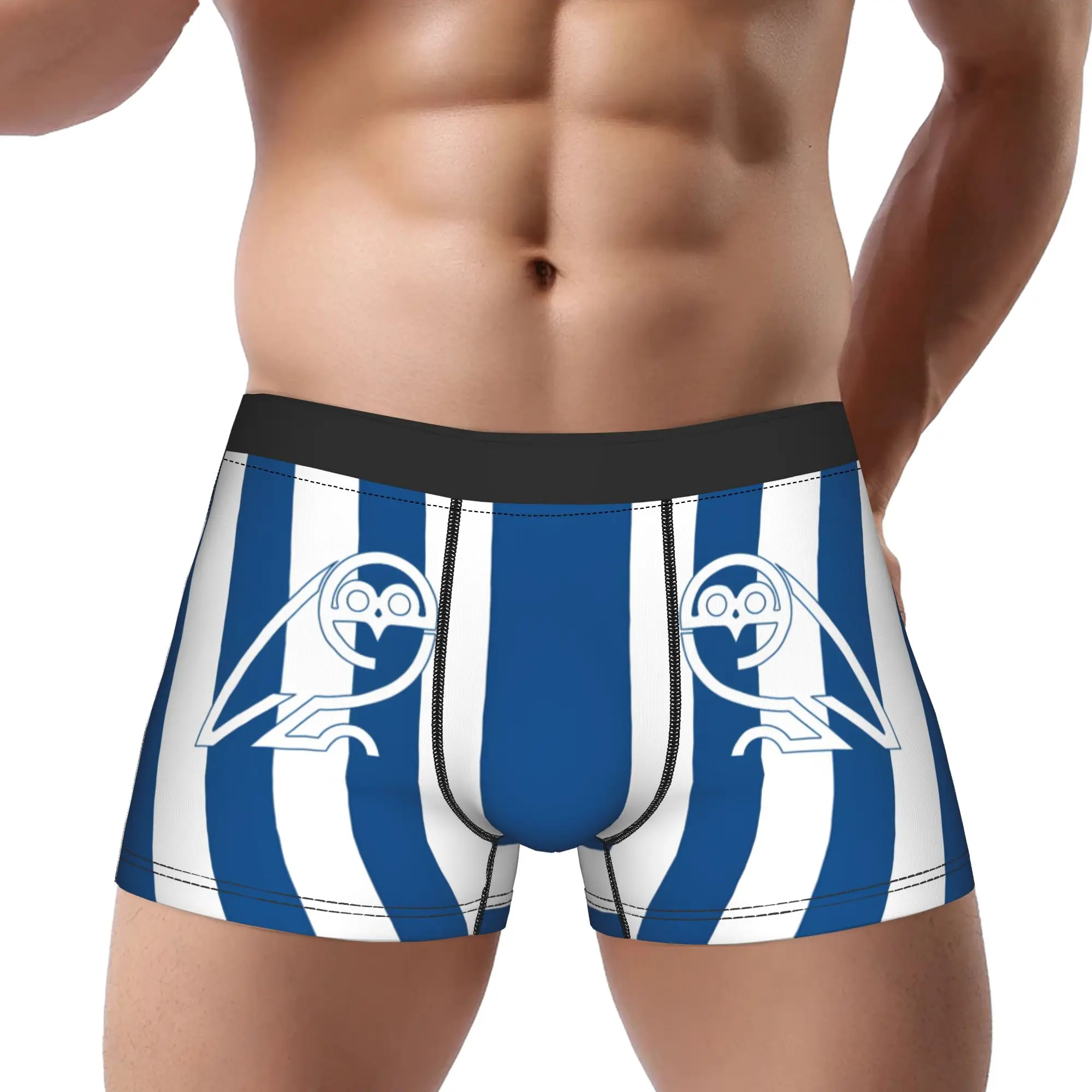 

Sheffield Wednesday (5) boxers adults 18 plus Underpants Homme Panties Man Underwear Print Shorts Boxer Briefs