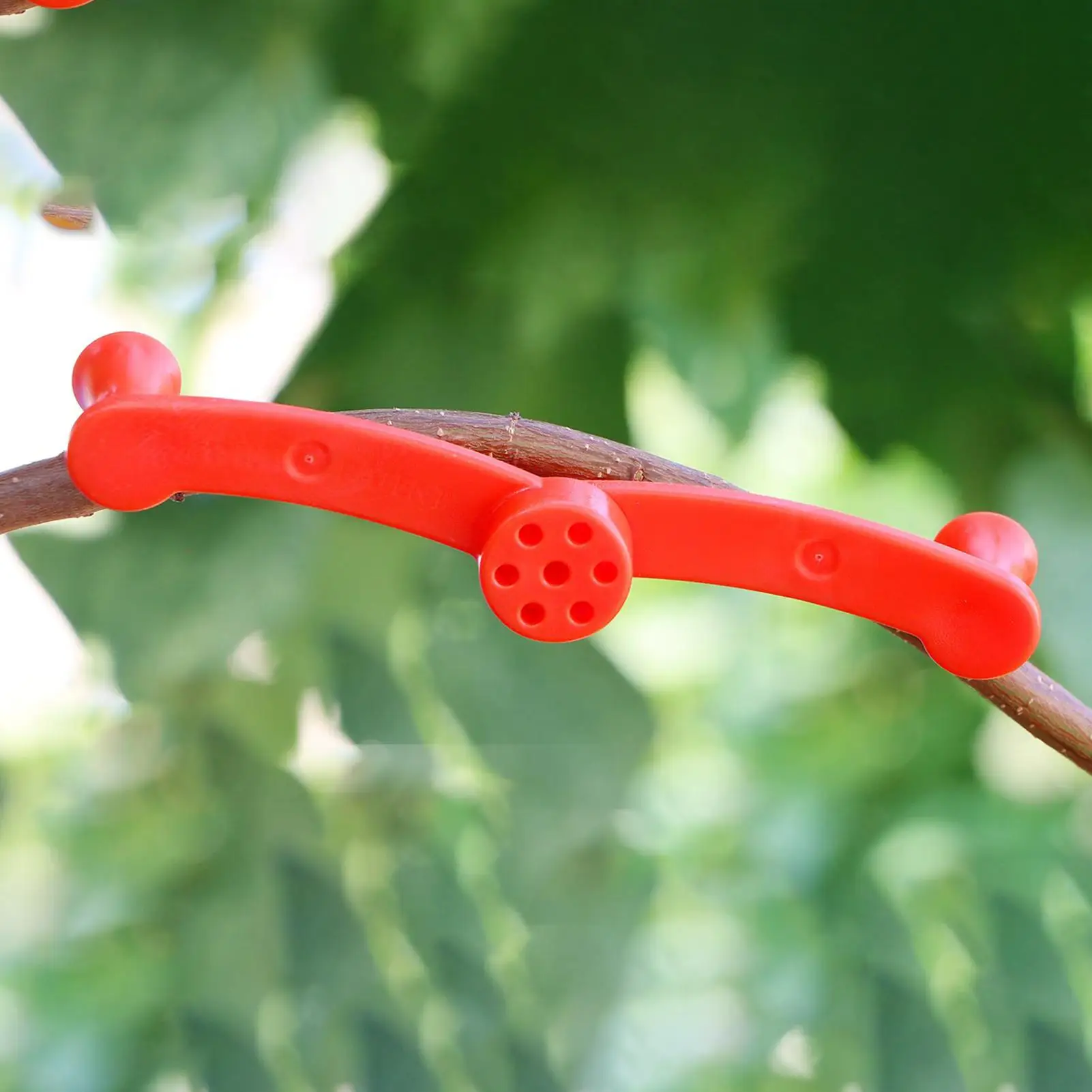 

Зажимы для формирования растений, 10 штук, инструменты для придания формы стеблям и ветвям, для садоводов и цветоводов