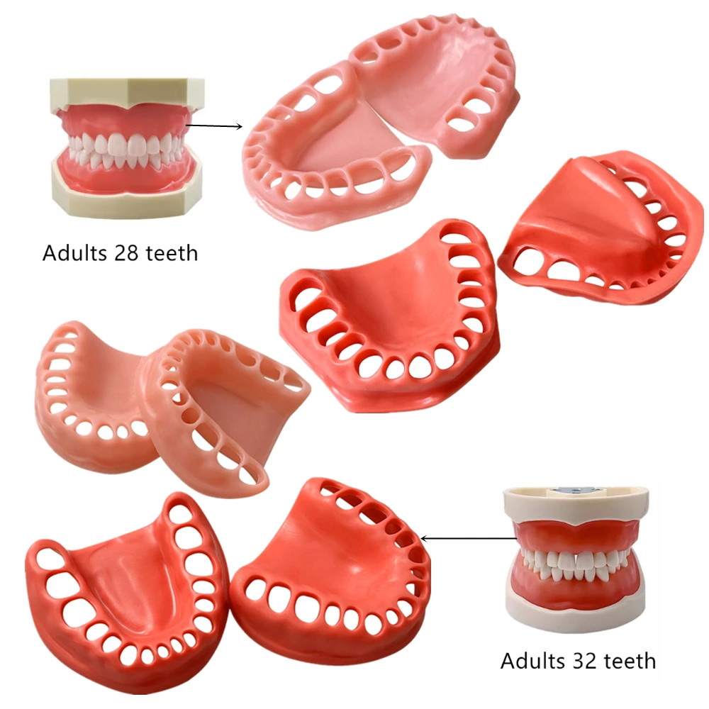 1Set Dental 28/32 Teeth Simulated Gum Gingival Simulator Silicone Upper And Low…