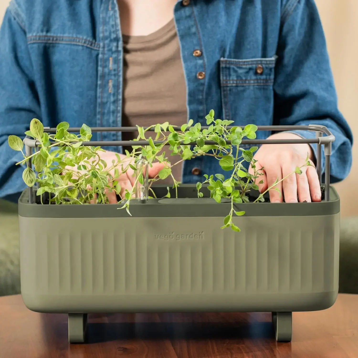 Boîte de jardinière à tomates et pots d'herbes d'intérieur, jardinière à dessus de seau, boîte à arrosage automatique en treillis, vert sauge