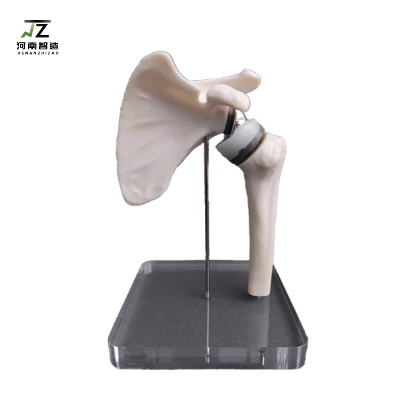 

Имитационная модель замены плечевого сустава, модель клинического ортопедического медицинского обучения и обучения