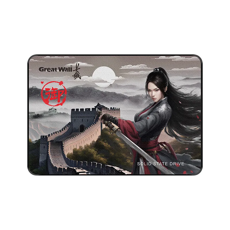 Great Wall-Disque dur interne SSD, interface SATA 3, vitesse de lecture 512 Mo/s, pour ordinateur de bureau et portable, 540 Go