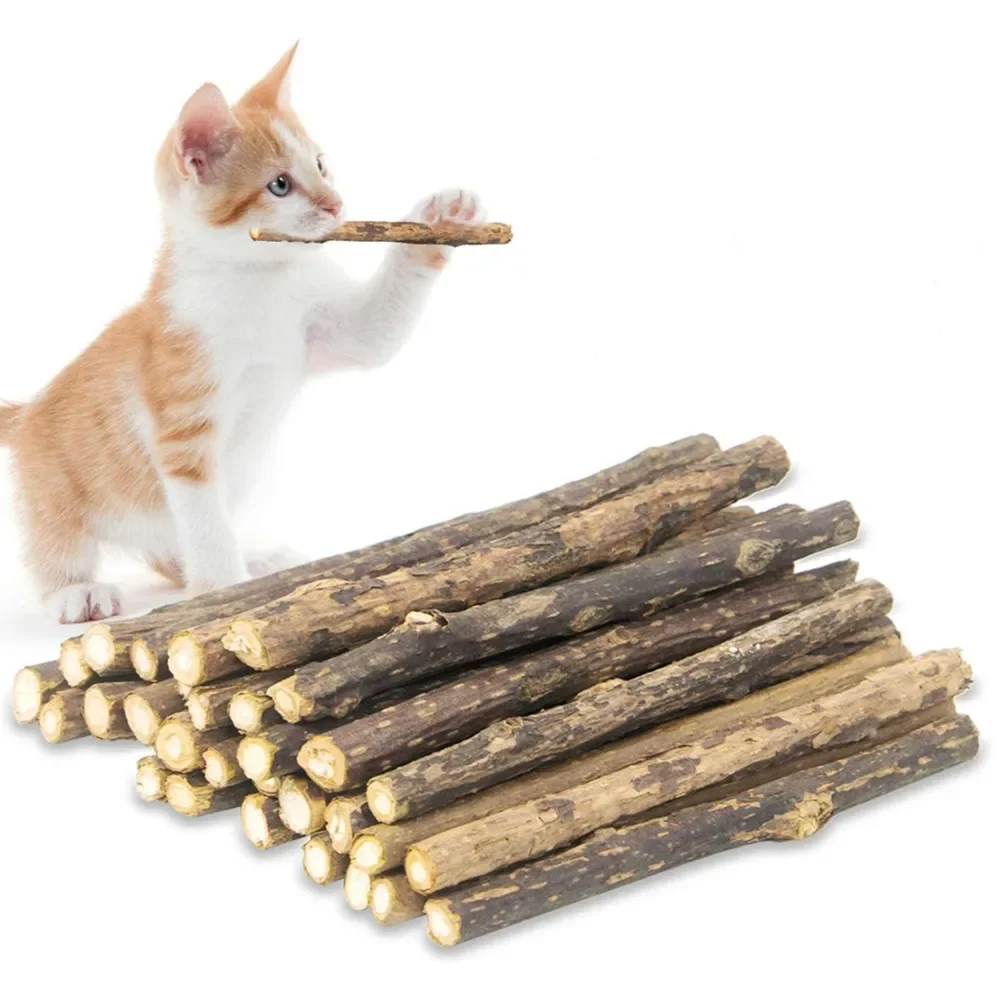 15pcs Natural Matatabi Cat Catnip Toy Kitten Molar Chew Stick Pet Cleaning Teeth Cat Treat Toy Actinidia Silvervine Pet Products