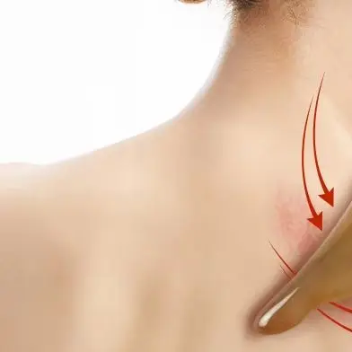 

Guasha Board Resin Meridian Acupuncture Massage Stick Guasha Board For Neck Shoulder Back Scraping Board Facial Lifting Tool