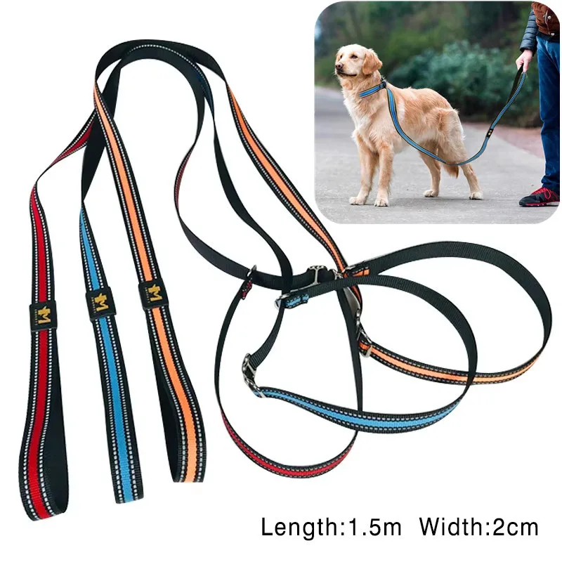 150cm P-Shaped Chain Slip Lead Control Leash Training Dog Choking Rope Leash 2 in 1 Lead Collar for Small Large Competition Dogs