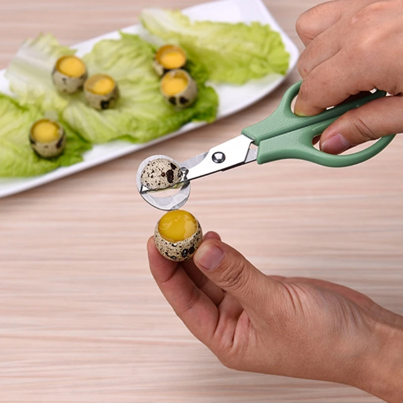 10 Miếng Thép Không Gỉ Cho Chim Bồ Câu Chim Chim Cút Trứng Cắt Dụng Cụ Mở Trứng Chim Cút Cắt Kéo Nhà Bếp Bấm Dụng Cụ