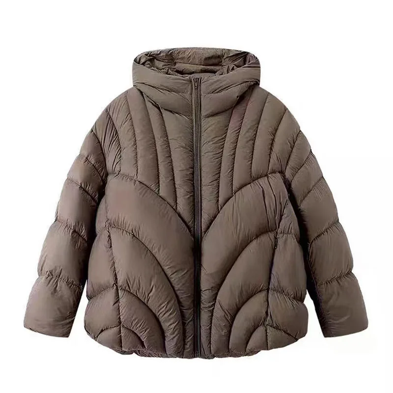 Schinteon Vrouwen Koreaanse Stijl 90% Witte Eend Donsjack Met Kap 2024 Herfst Winter Warm Luxuriou Uitloper Losse Casual Jas Nieuwe